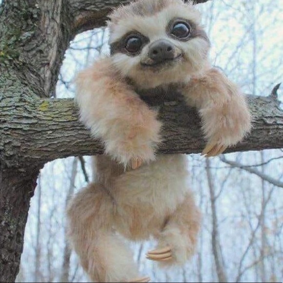 Meet your Posher, Chelsea - Picture 1 of 1